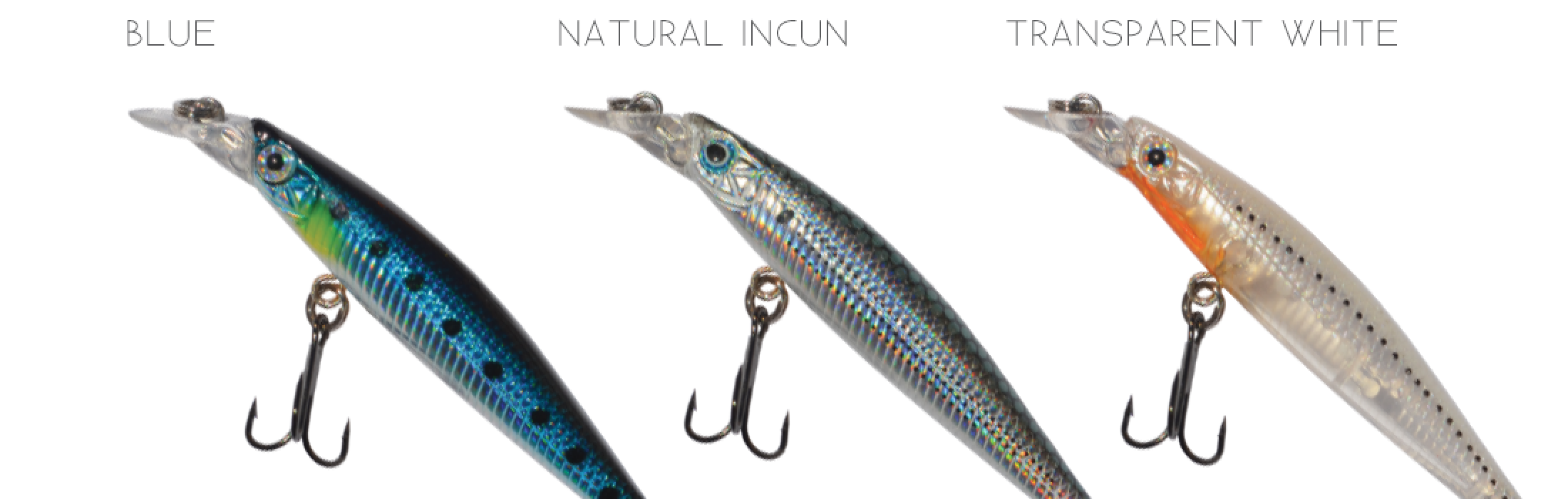 DTD INCUN 70