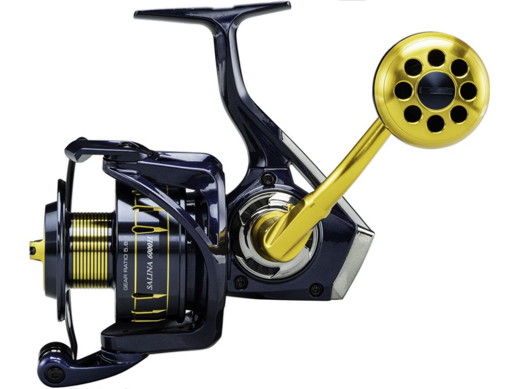 Okuma rola Salina Spin